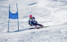 九游会j9官网|阿代米公开致歉首秀表现，工体盛情难却，时间不作托词