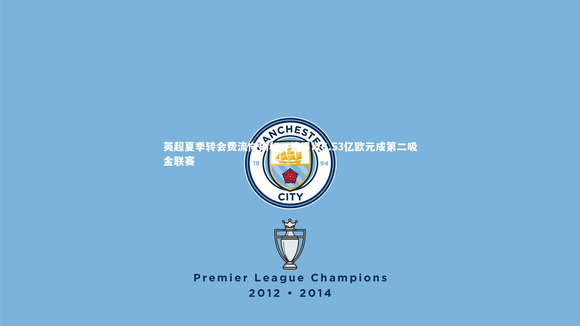 英超夏季转会费流向揭秘,德甲以6.53亿欧元成第二吸金联赛